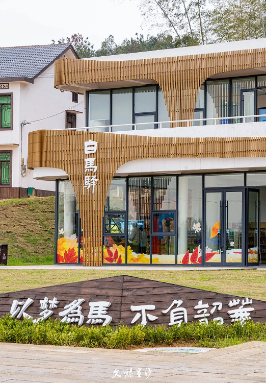 走进白马湖研学营地,倾听大自然的“呼唤”。