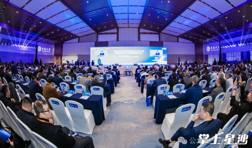 大会现场。均为主办方供图