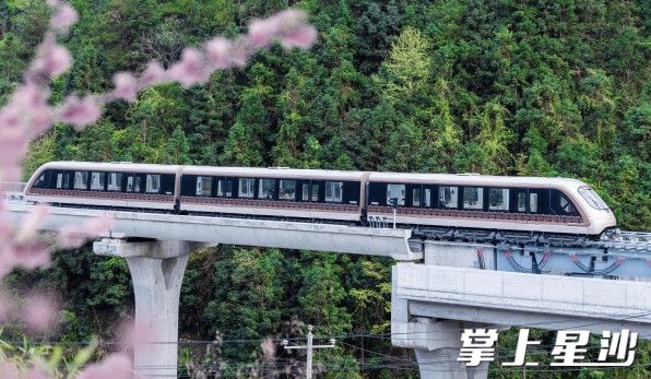 凤凰磁浮列车采用3节编组，设计时速100kmh，外观为香槟金色体。超大面积的观光玻璃，大幅增加了列车的通透性，宛如一个移动的画框。