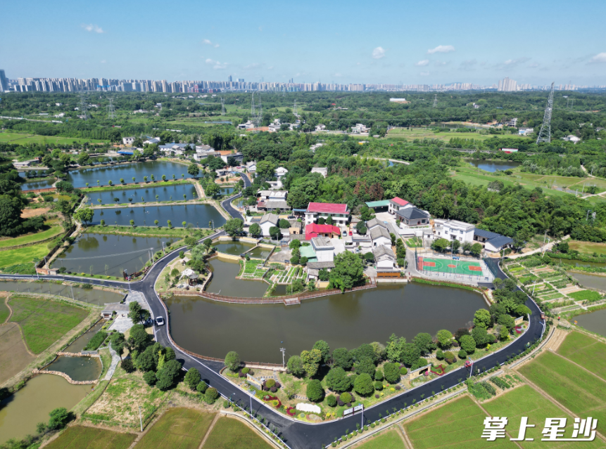 长龙街道湘峰村。
