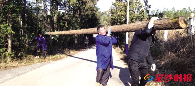 　　长沙县开慧镇上华山村龙家沅组村民帮助受灾群众搭建临时庇护所。开慧镇供图