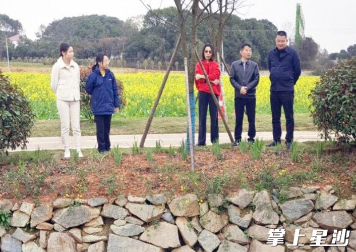 长龙街道政协委员活动组开展走基层活动。长龙街道供图