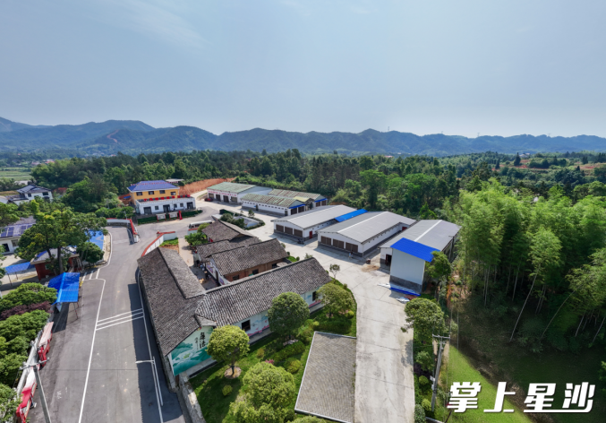 锡福科技小院鸟瞰图。 锡福科技小院鸟瞰图。