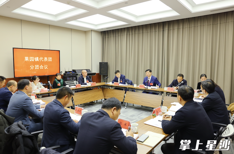 会议现场。均为曾诗怡 摄