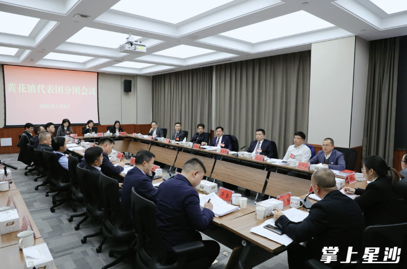 会议现场。陈张嘉 摄