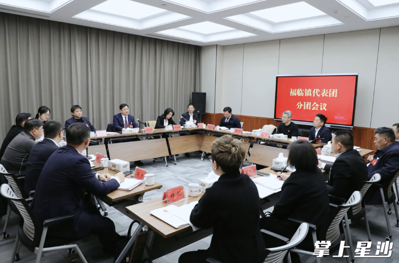 会议现场。陈张嘉 摄