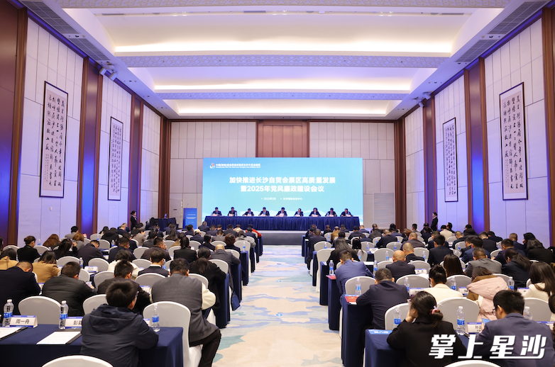 会议现场。均为曾诗怡 摄