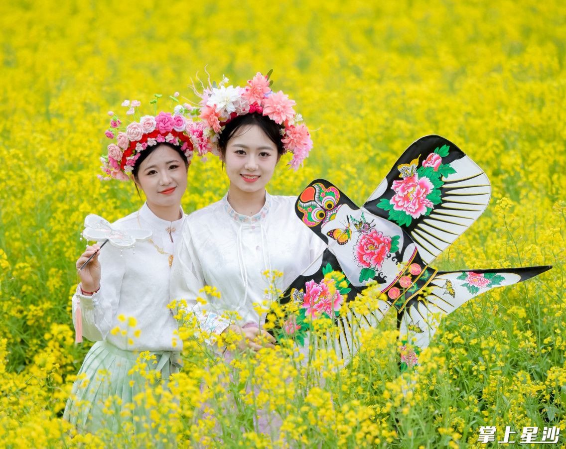 阳春三月，长沙县福临镇漫山遍野的油菜花海争相开花，金黄一片美不胜收。
