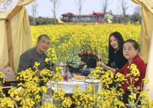 诗意繁花·二十四节气｜春分：春色正中分，黄花恰良辰