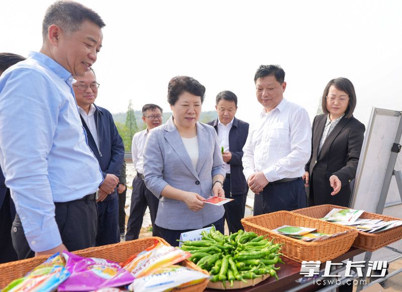 4月9日，省委常委、市委书记吴桂英在长沙县调研经济社会发展情况，来到春华镇湖南湘研种业蔬菜种子基地。