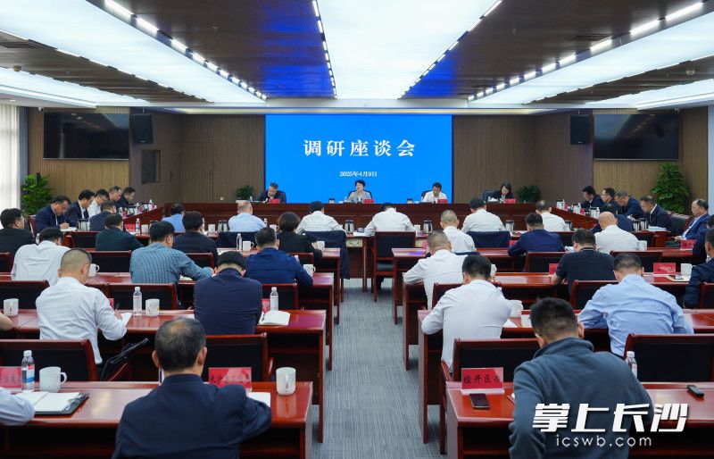 调研座谈会现场。 均为长沙晚报全媒体记者郭雨滴摄