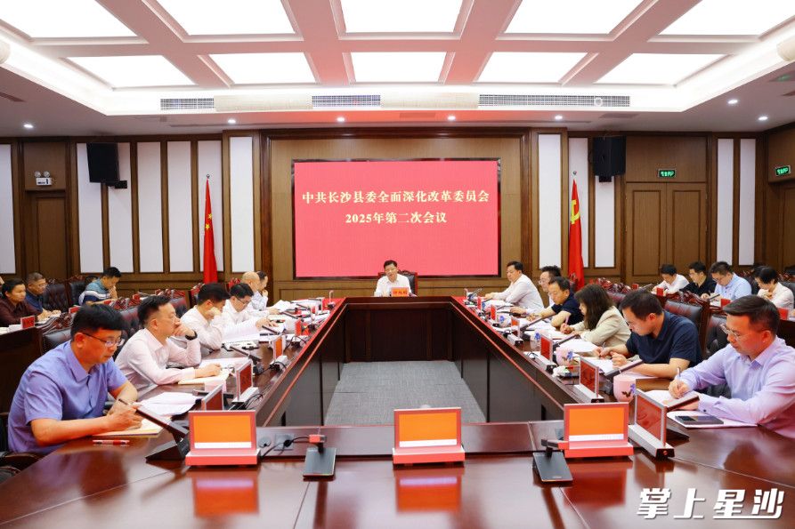 会议现场。均为曾诗怡 摄