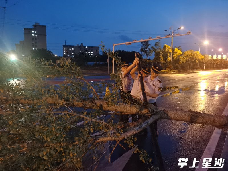 执法队员合力转移折倒树木。