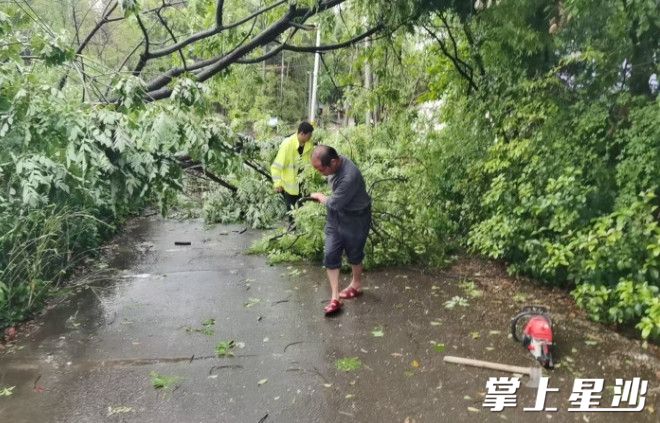 清除倾倒树木。 北山镇供图