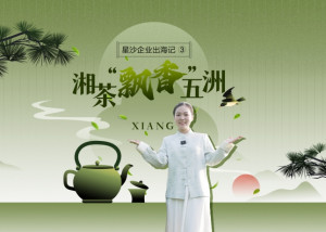 星沙企业出海记③｜一杯湘丰茶，让中华文化“出海”又“出彩”