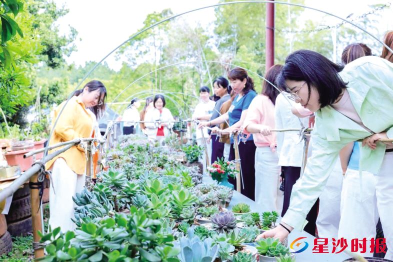 　　女性代表走进江背镇福田村西薮组“多肉妈妈”创意种植基地。　　江背镇供图