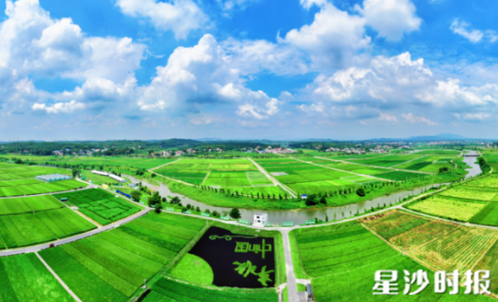长沙县是“全国休闲农业重点县”“农村创新创业典型县”“电子商务进农村综合示范县”，也是全国36个“蔬菜生产重点城市”之一。县农业农村局供图