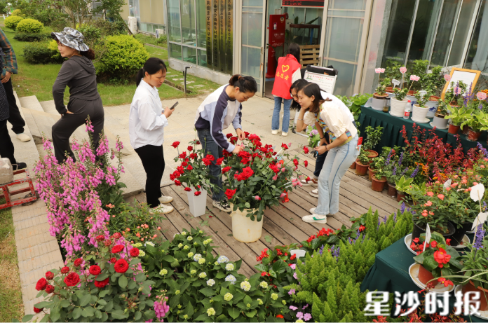 市民朋友正在”花田集市“选购鲜花。