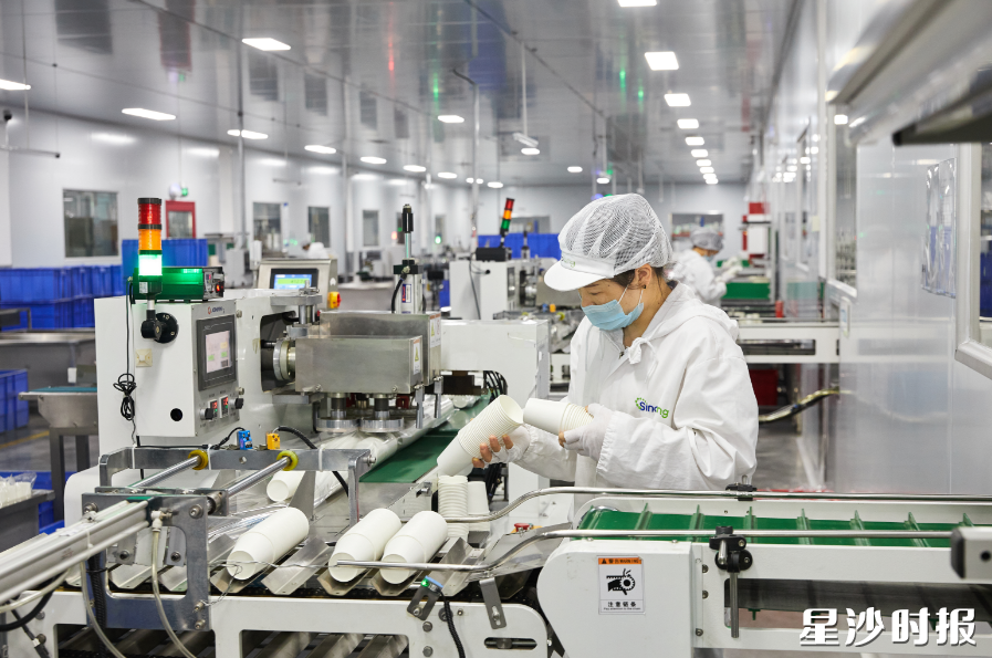 长沙世通生活科技有限公司主要从事纸杯、纸碗、竹筷等加工和生产，拥有专利78项，产品远销日本、美国、德国等地。均为企业供图