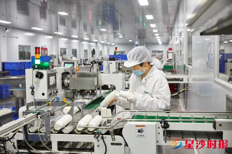 长沙世通生活科技有限公司主要从事纸杯、纸碗、竹筷等加工和生产,拥有专利78项,产品远销日本、美国、德国等地。 企业供图