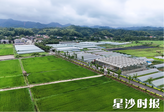 高桥镇S206农科院段，产业因路而兴，村民因路而富。
