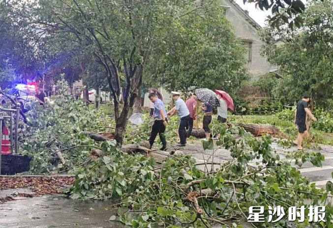 干部群众和应急部门一道清理被大风吹到的树木。
