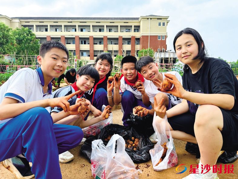 　　学生将挖好的土豆打包，带回家和家人分享丰收的喜悦。　　李杰 摄