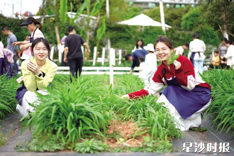位于长龙街道湘峰村的芭蕉熊半山坡生态农场地方虽小，游玩项目却相当丰富，加之农场遍布鲜花、香草，环境清新怡人，吸引游客络绎不绝。均为长龙街道供图