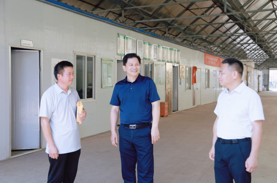 走访现场。叶尹浩 摄