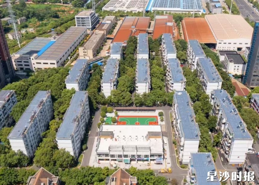 3614小区一角。 3614小区一角。