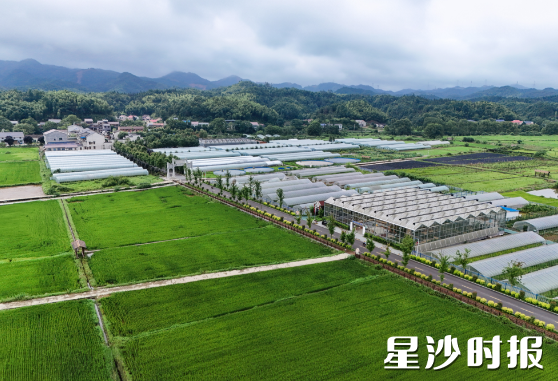 整洁宽敞的环村公路,打通白石源村产业发展“大动脉”。