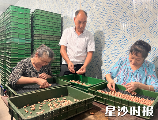 在驻村工作队和村支两委的精心指导下,白石源村的花生苗、蜂蜜等产业蓬勃发展。
