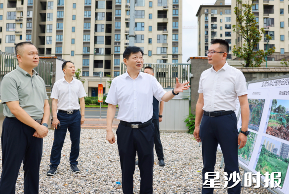 付旭明调研星沙街道龙塘水体公园附近闲置地环境整治工作。