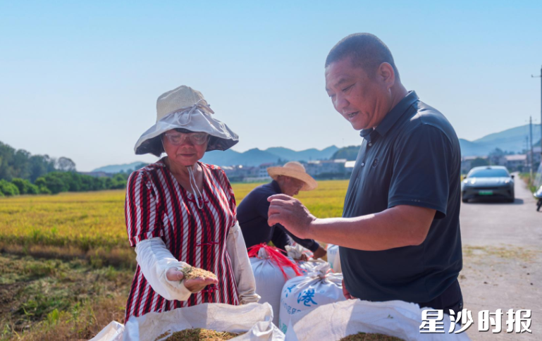 北山镇荣合桥社区，长沙华俊农业科技有限公司负责人谢泽民脸上洋溢着丰收的喜悦。刘思源 摄 