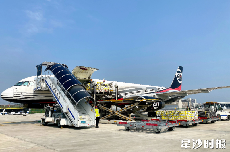 长沙自贸临空区现已吸引顺丰、邮政、圆通、中通、玉湖等头部物流企业入驻。图为顺丰货运飞机。长沙自贸临空区供图