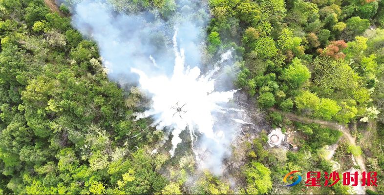 　　7月以来，长沙县已通过无人机巡查及时处置了违规野外用火20余起，有效将火情扼杀在萌芽状态。资料图片