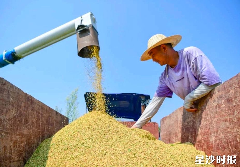 星沙农商银行精准滴灌的金融“活水”,为新型农业经营主体发展注入强劲动力。 星沙农商银行精准滴灌的金融“活水”,为新型农业经营主体发展注入强劲动力。