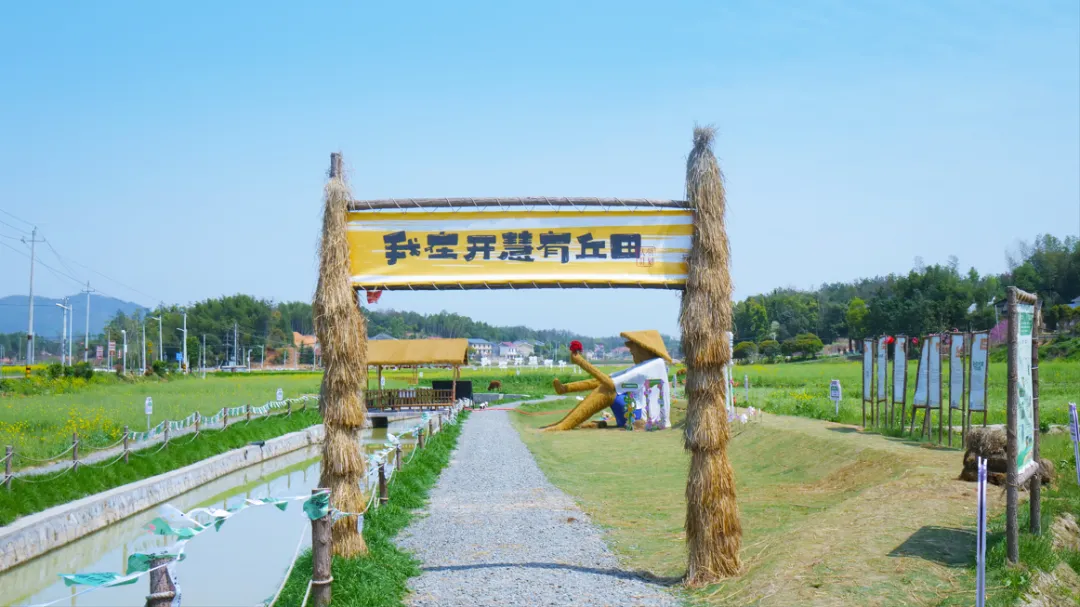 短短一年，“我在开慧有丘田”项目吸引了280多个新“田主”。