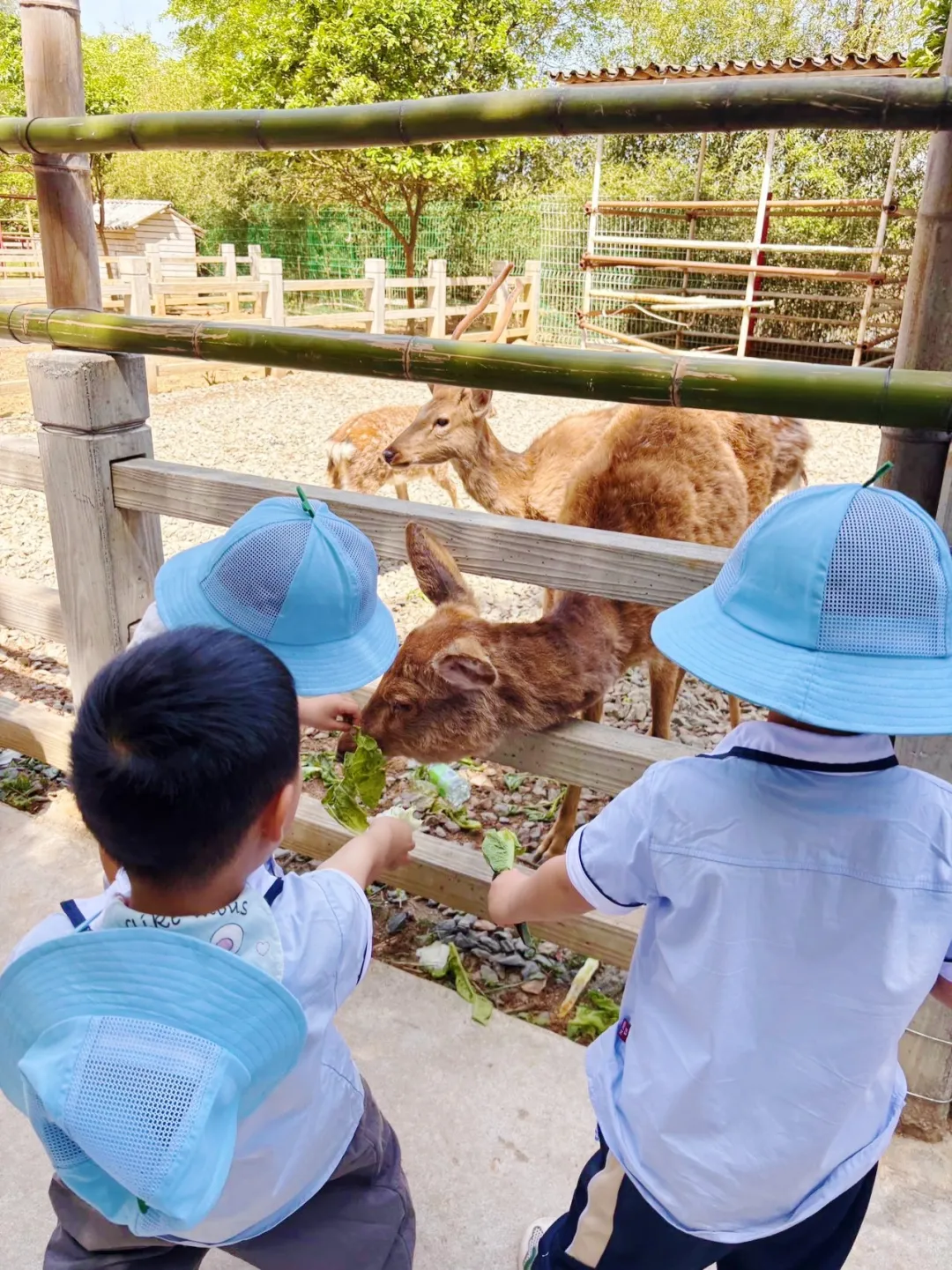 小顽国亲子乐园持续火热十年，每年游客接待量超10万人次。
