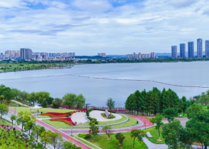 特稿 | 清波荡漾处 星城澎湃时