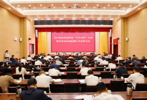 付旭明专题调度县区优化营商环境“百日攻坚”行动