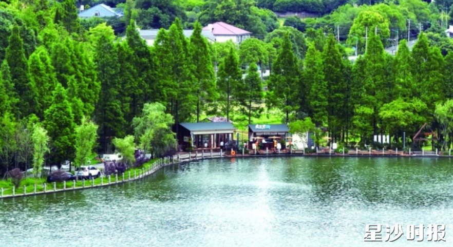 印山湖公园今年新开的印小鱼茶咖馆，让茶和咖啡“碰撞”出新的可能。