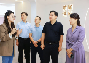 陈永高督导2025首届星沙-非洲咖啡嘉年华活动筹备工作并检查节前安全生产工作