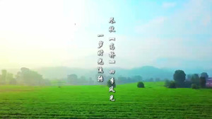 视频 | 一岁时光流转，尽收【高桥】四季风光