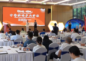 视频 | 中非咖桥 世界湘见