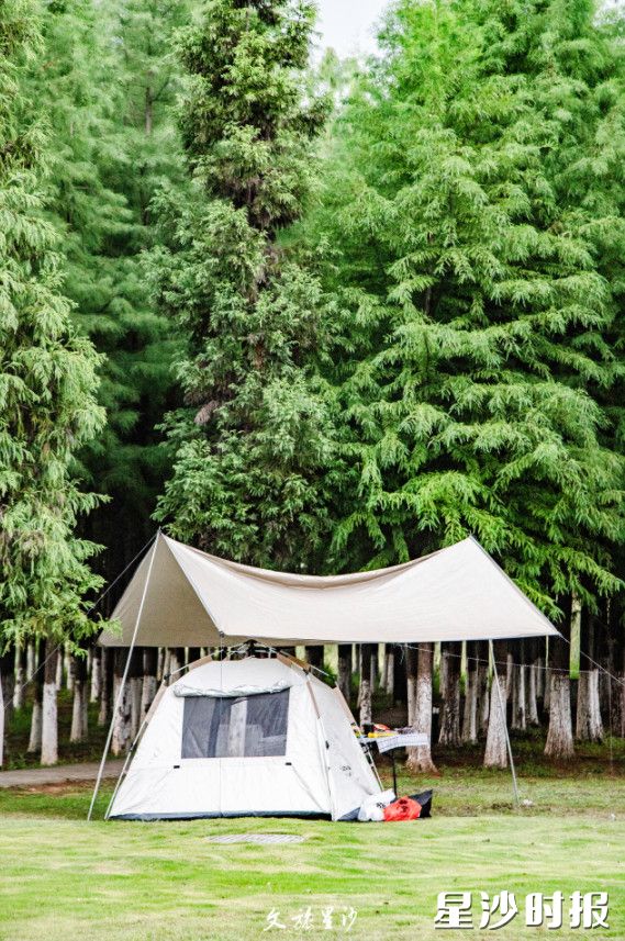 湖南松雅湖国家湿地公园位于城区，交通便利，有沙滩、草地、树林，可选择的露营点很多。