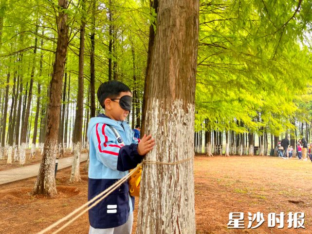 图为幼儿园进行森林盲径游戏。