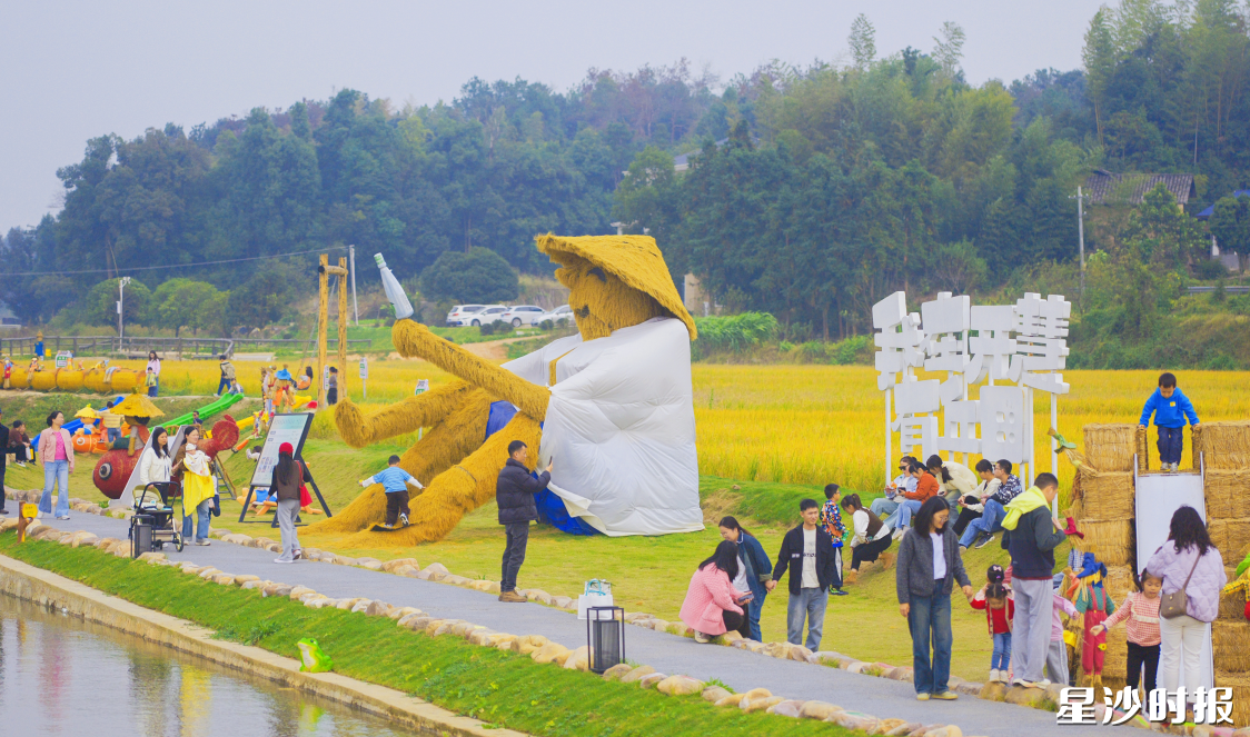 “我在开慧有丘田”的田埂上,孩子们穿梭在巨型稻草人旁嬉戏。章帝 摄 “我在开慧有丘田”的田埂上,孩子们穿梭在巨型稻草人旁嬉戏。章帝 摄
