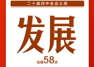 8个高频词，一起学习党的二十届四中全会公报