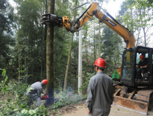 四中全会精神在基层｜“电骡子”驮起山村振兴梦